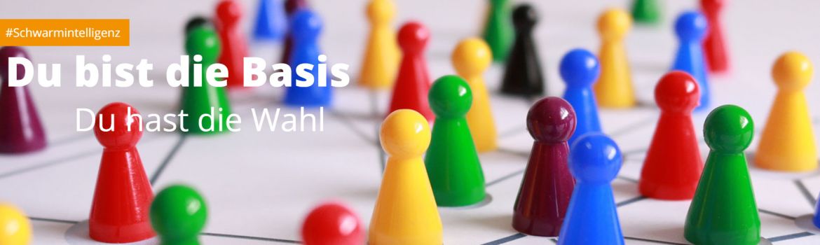 dieBasis dieBasis